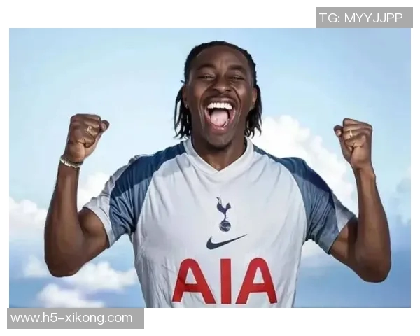 热刺大股东刘易斯家族信托注资1亿镑助力俱乐部发展