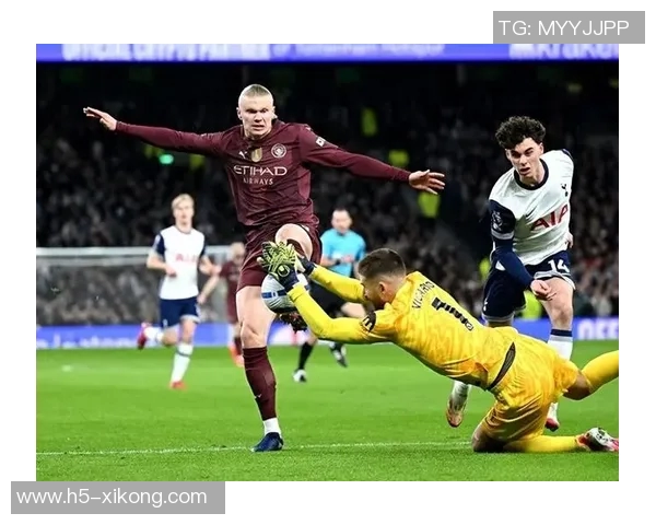 哈兰德本赛季英超联赛进球占比创历史新高达647球队依赖程度惊人